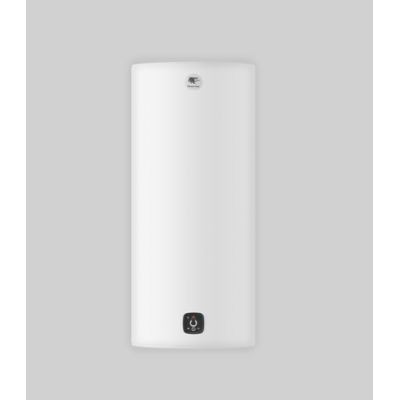 Termo eléctrico Thermor Duralis 75 litros | Fergosol
